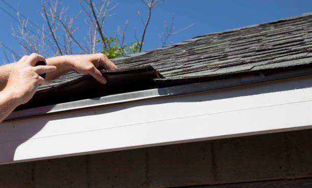 Home Inspector